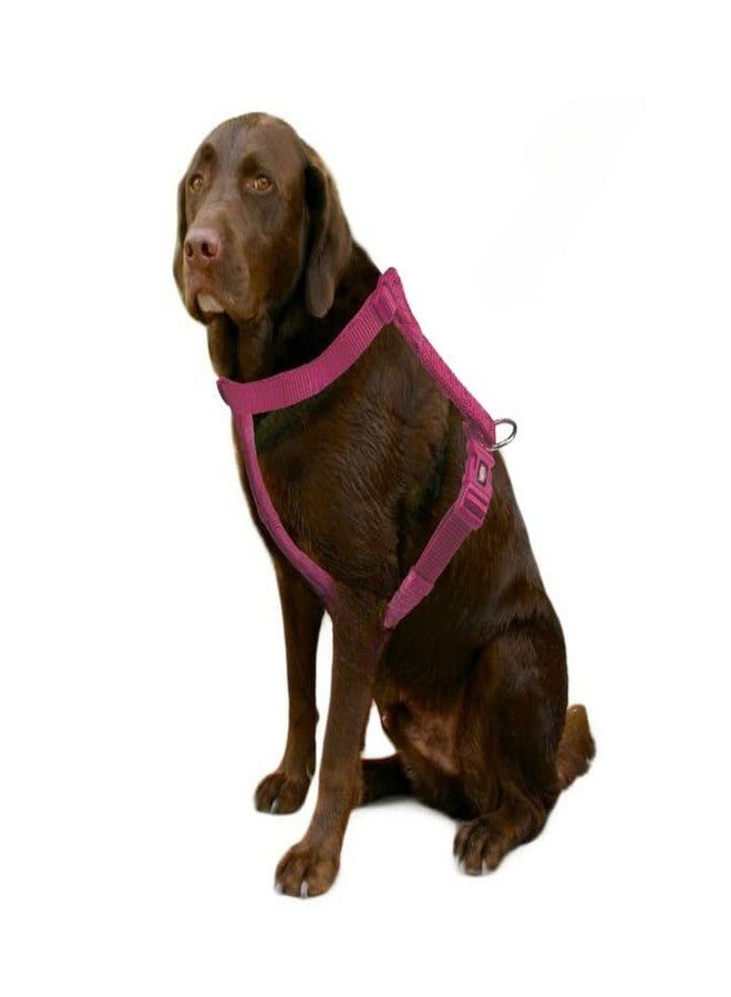 Trixie Premium Touring Harness for Dogs Made with Fleece Padding, Adjustable, and Lightweight Strong D-Ring Keeps The Harness and Leash in Place (M-L, Orchid) - Image 3
